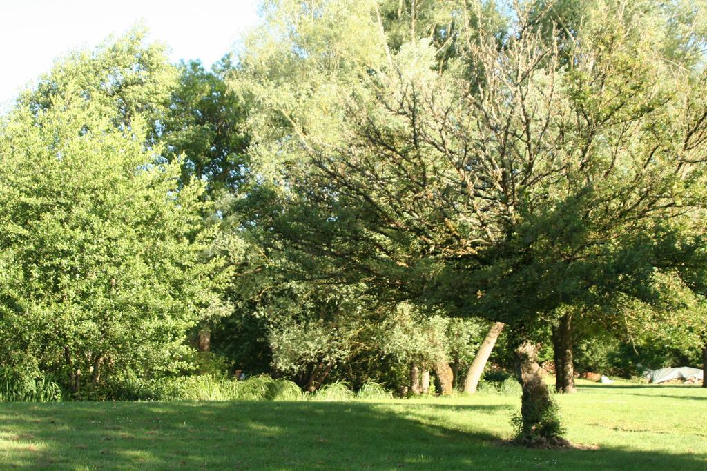 Bed and Breakfast Le Petit Moulin Faverelles Екстер'єр фото